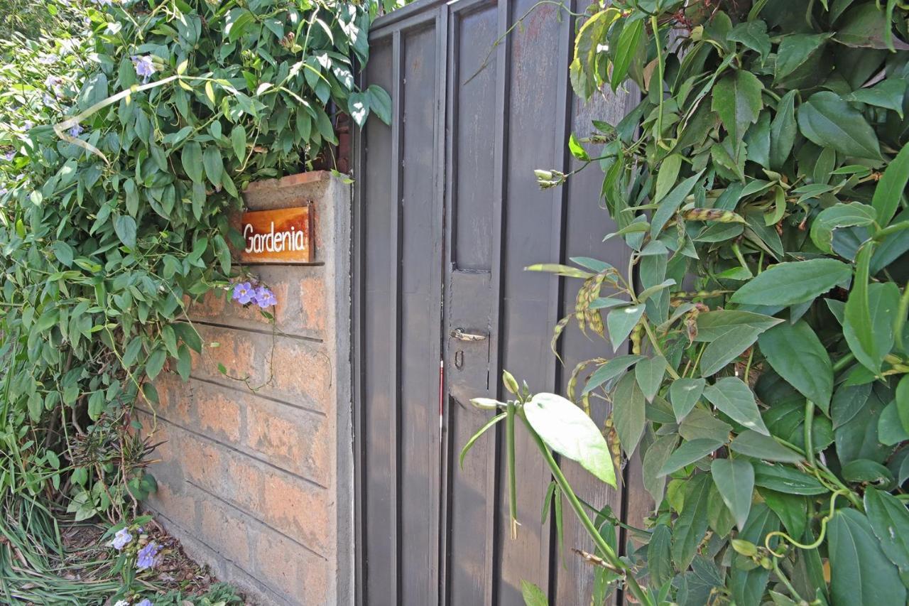 Olesamara Collection Hotel Nanyuki Værelse billede
